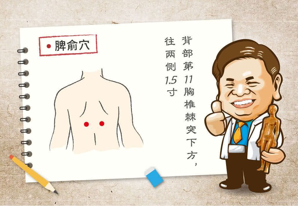 脾俞穴
