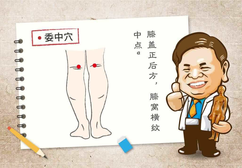 委中穴